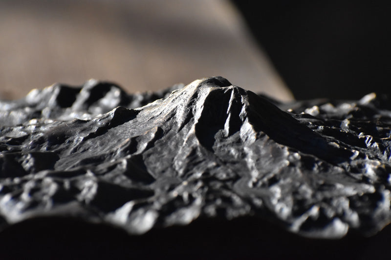 Mount Rainier Bronze 3D Map - Dark Unmounted